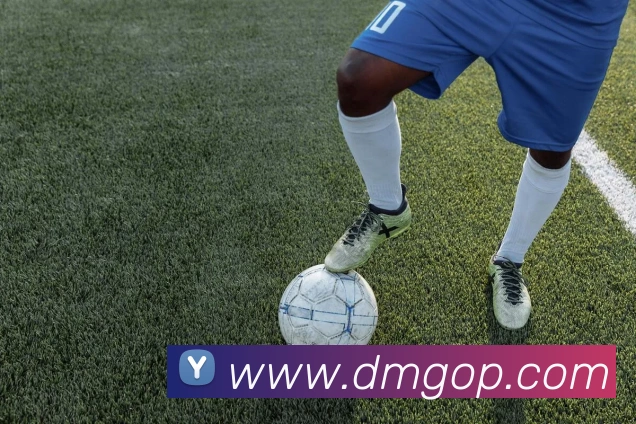 奖项图3